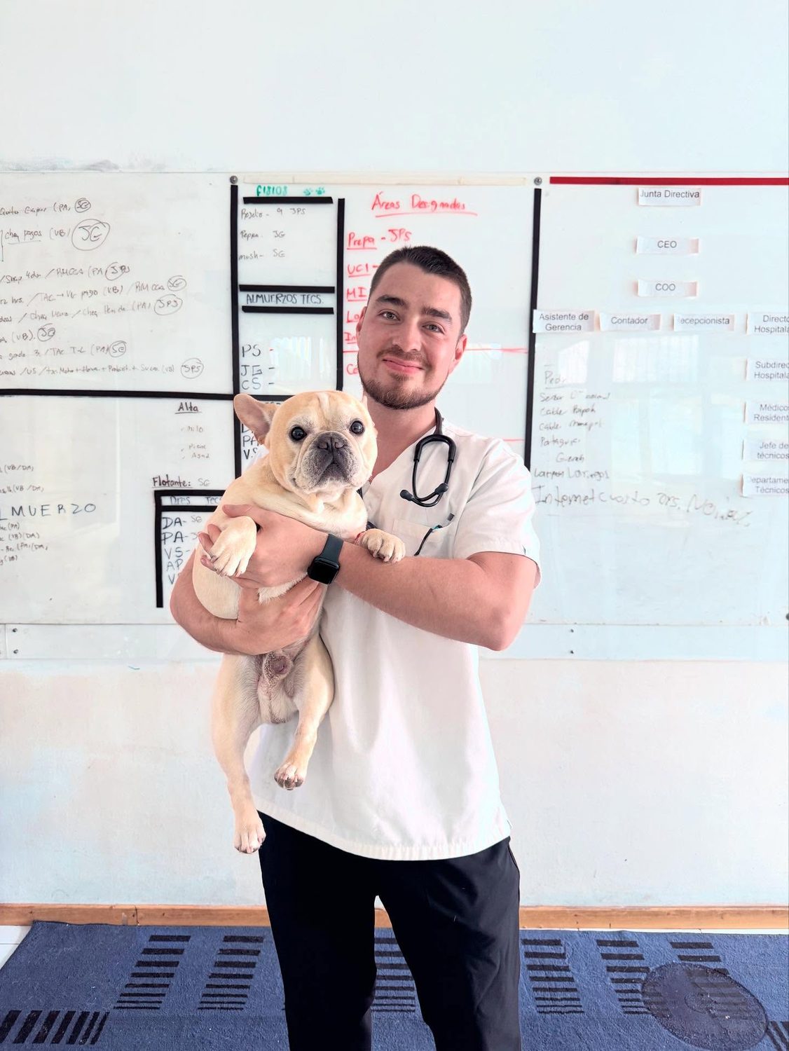 Dr. Pablo Anleu sosteniendo a un bulldog francés en Río Centro Médico Veterinario