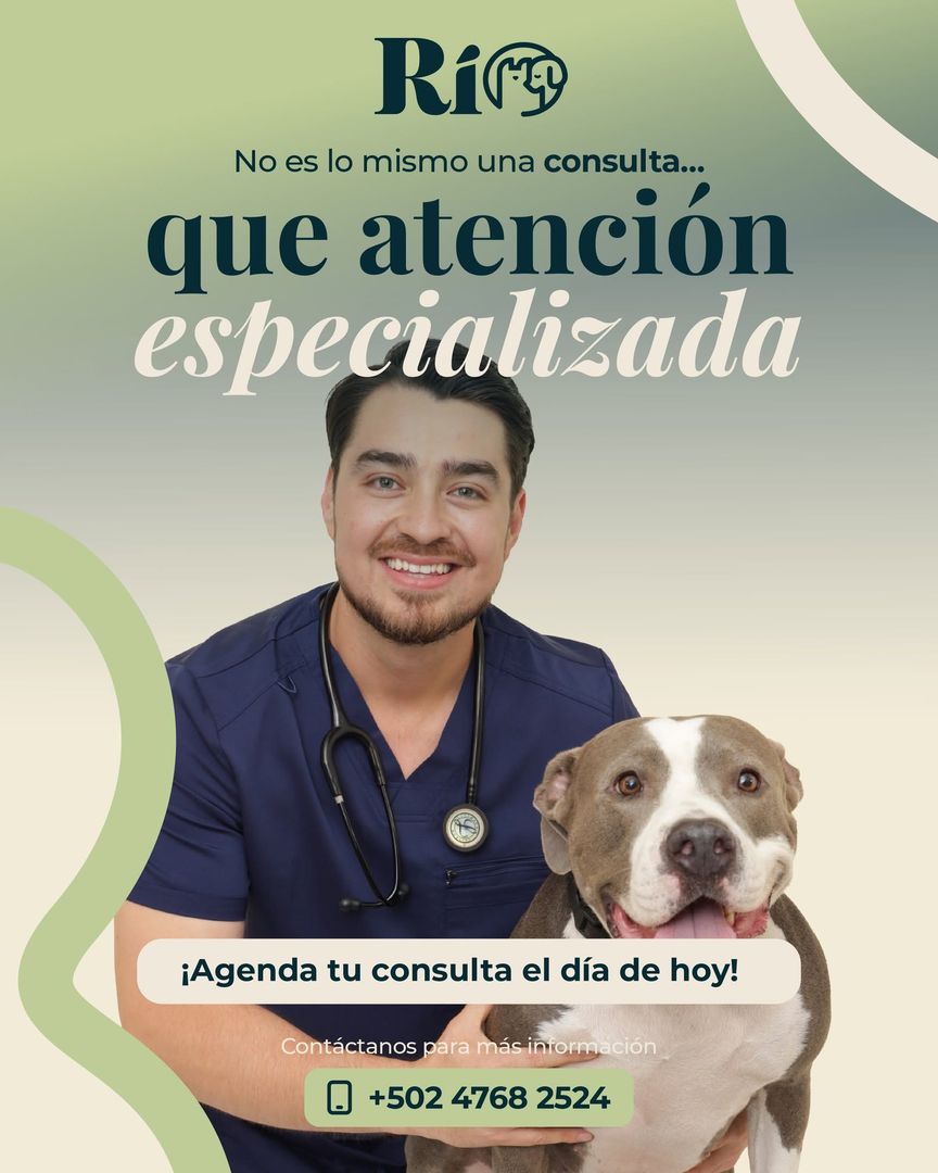 Atención especializada con el Dr. Pablo Anleu